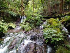 「瓜割の滝」の水温は一年を通して11～12度程度。

手をつけると　とっても冷た~い！