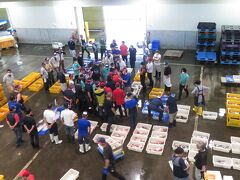 ６時好きに沼津港へ。
INOという建物の２階から
セリの見学ができます。


