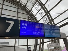 飛行機での移動