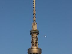 スカイツリーを横切るように飛ぶ飛行機。
そういえば、一年前はブルーインパルスが飛んでいたのよね。
何だか東京オリンピック開催が遠い昔のような気分・・・