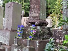 【近藤勇の墓】

供えられていたのは　
桔梗の花