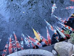 「TOKYO TORCH Park」という広場があり、池もあります。
錦鯉がぎっしり。
新潟県小千谷市生まれの錦鯉だそう。