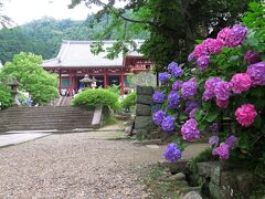 あじさいの向こうに見えるのが本堂。関西でも有名なあじさいの名所ですが、あじさいがよく似合うお寺です。