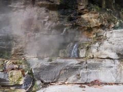 　この豊富な湯を利用した小安峡温泉には、大小の旅館や民宿があります。