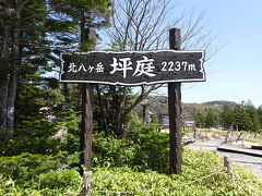 では、坪庭を散策しましょう。
それにしても、5月と言えどさすがに標高2,000mを越えると、まだ上着が必要な寒さです。