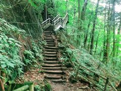 吹割の滝の山側の遊歩道からスタートしました。見どころが川側に集中しているので、そのほうが楽しめるかと…。
神社がある方の入口からスタートすると、登りの階段が多いです。反対側からの方がなだらかで、歩きやすいかもしれませんね。