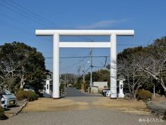 白い鳥居が珍しい？安房神社