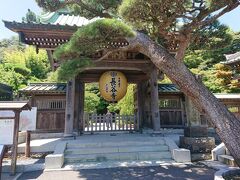 鶴岡八幡宮から公共交通で移動し長谷寺へ

正面門と松の木の組み合わせた感じが良い雰囲気を醸し出しています