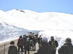 すぐ隣には美女平へと結ぶバスが走っている。