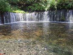 白糸の滝。まさに森林浴です！