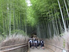 両側から鬱蒼とした孟宗竹が生い茂る小径を修学旅行らしき学生さんが歩いて行きます。