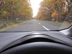 ニッサンレンタカーで車を借りて目的地に向かおうとすると、すぐに紅葉が始まった道路になり道は真っすぐ、勢いよく飛び出しました。