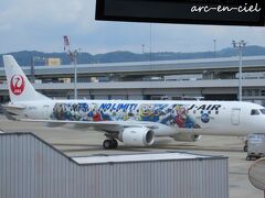 【8月23日（火）1日目】
伊丹空港では、先月搭乗した「ミニオンジェット」を見かけました。
この日は、函館へ旅立つようです（^^）。