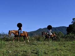 「マウントンライド アドベンチャー(Mount-n-Ride Adventures)」

ケアンズから車で40分ほど南下した山の中にある乗馬クラブへ。
何とお客さんは私たちだけ！
馬で先導してくれるスタッフと、バギーに乗って私たちの写真を撮ってくれるカメラマンの４人で、１時間半のコースへ。