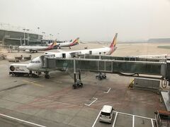 飛行機での移動