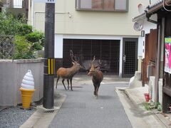 案内してくれてありがとう。
鹿さまに別れを告げて進みます。
ばいばーい♪