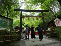 竹林の小径の先にあるのが野宮神社。
伊勢の斎宮になる内親王がその前に1年籠ったという由緒ある神社。
京都は小さな神社でも実はすごい謂れがあったりするのでさすが。