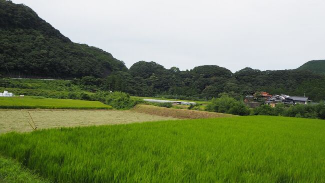 あしあとを辿る旅 15 2022 8 (2) 多々良焼 金子窯』武雄・多久(佐賀県