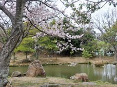 (写真) 13:11  浜松城公園
静かな池の向こうにチビちゃんカップルが。