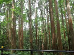 恐山をあとにして大間を目指します。