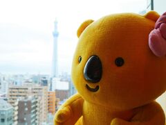 この日は、娘の念願のロッテシティホテル錦糸町「コアラのマーチルーム」に宿泊。
ここでもコアラのマーチに癒されました(笑)

↓コアラのマーチルームの旅行記
https://4travel.jp/travelogue/11771050