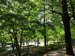 ●清水谷公園

そのまま隣接する「清水谷公園」へと入っていくと、散策路は真夏の日差しを遮るように緑に包まれて。。。