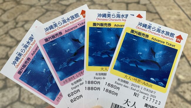 2022沖縄瀬底島3泊4日家族旅行⑥<4日目・美ら海水族館~空港編 2022沖縄瀬底島3泊4日家族旅行⑥<4日目・美ら海水族館~空港編