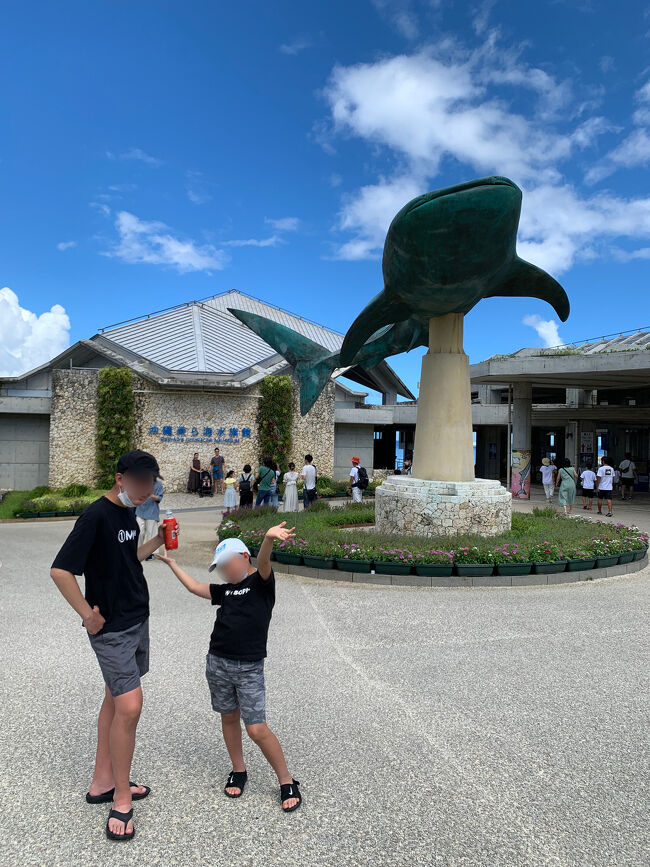 2022沖縄瀬底島3泊4日家族旅行⑥<4日目・美ら海水族館~空港編 2022沖縄瀬底島3泊4日家族旅行⑥<4日目・美ら海水族館~空港編