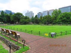 緑の広い場所は花壇。