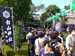 拝殿まで参拝者の列が続いています