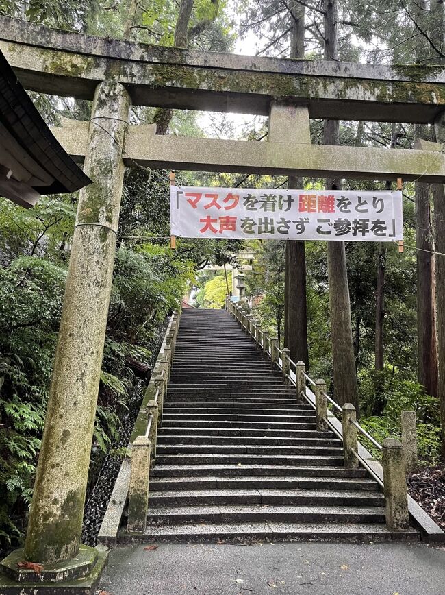 白山比咩神社 福銭 天保型 年間ランキング6年連続受賞】 白山比咩神社 コレクション 天保型