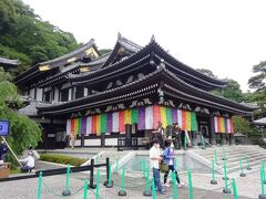 観音山中腹にある長谷寺観音堂。
正式名称海光山照院長谷寺。池を配した広い庭園、鎌倉名物洞窟寺院のひとつ弁天窟など味噌頃がいくつもある鎌倉西部一番の名スポット。
弁天洞窟は前回行ったので、今回は並ぶの覚悟で、観音山紫陽花回廊だけを見て廻ることにした。

