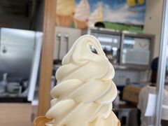 宮崎インターから高速に乗り、清武サービスエリアで食後のデザートに日向夏ソフト。さっぱりしていて激ウマでした。