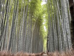 まだまだ時間がたっぷり。竹林の小径へ。こんなに人のいない竹林は何年ぶりだろう。竹林はこの静けさがなくちゃ。インバウンドが大事なのはわかりますが・・・