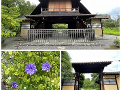 2日目の朝、京都は祇園祭の土曜日、どこも混んでいそうで駅から近い東本願寺の飛地境内地の庭園・渉成園へ。ここは広大な庭園で人も少なくて好きな場所です。