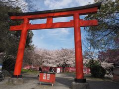 椿も満喫したので、アフタヌーンティーを予約しているお店へ向かいましょう。

途中、平野神社の前を通りかかったのでちょっとだけ桜を見て行こうと思ったら...。