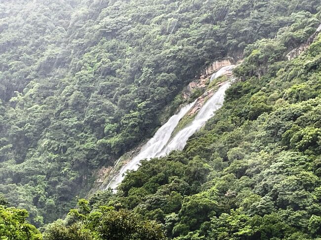 だれる 知らない 屋久島 屋久島ひとり旅 in 2020 3日目 - 縄文杉トレッキング -』屋久島