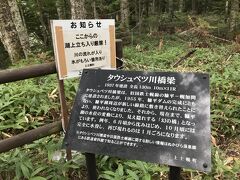 タウシュベツ川橋梁を見に行ってみることに。