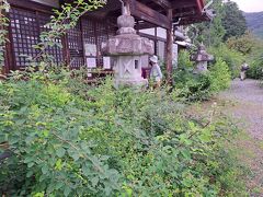 洞昌院
こちらは花のお寺として有名なところです。