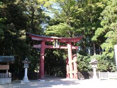 彌彦神社