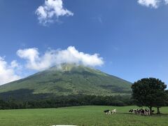 昼食の後は、車で1時間ほど移動して、大山みるくの里にいきました。
とても涼しいです。
牛を直接見るのは初めてだったかもしれません。