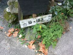 猫の細道です。でも、猫ちゃんには一匹も会えませんでした。