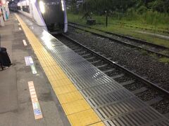 大月駅に到着。高尾行きの普通で帰ろうと思ったが、疲れたので特急で帰ることに。
河口湖駅にいた車両と同じ？