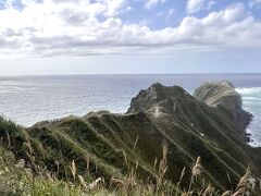 高台から見える神威岬。
眺めていると風の強さが恨めしく思えます。