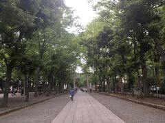 神社の手前を通る旧甲州街道を西へ歩き、分倍河原に向かいました。
分倍河原の駅近くと、中間地点になる下河原緑道にマンホールが設置されています。
