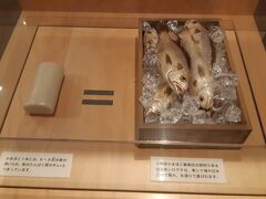 鈴廣かまぼこ博物館