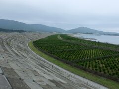 第二線堤防と海側の第一線提の間は松林が再生されていました。
高田松原の姿が蘇ってきています。