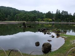 浄土庭園は造営時と変わらない状態で保たれていて、貴重だそう。
平安時代の庭園風景はその後の庭園と随分違って、単調な印象ですが、これが当時の浄土観だったようです。
前日行った浄土ヶ浜の風景に通じるような庭園の印象でした。