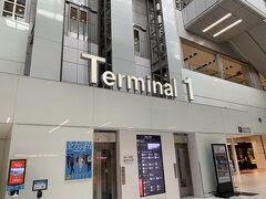 14時過ぎ、羽田空港、ターミナル1へやって来ました。修行の始まり
いつもはT2なのでT1は久しぶり。15時55分のJAL921便で那覇空港へむかいます