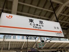 最近の旅の始まりは自家用車での出発で、大抵は東北自動車道浦和インターから、もしくは東京外環自動車道というのが定番なのだけれど、流石に2泊３日の犬山行きは東海道新幹線の東京駅からとなる。